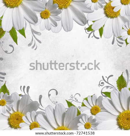 daisy flowers border with copy space