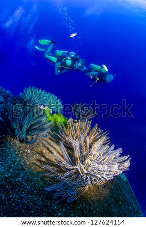 KHAO LAK, THAILAND - NOVEMBER 24: Un-identified scuba divers desending on a dive site in Similan Islands on November, 2009. The Similans are popular with divers coming form Khao Lak on daytrips.