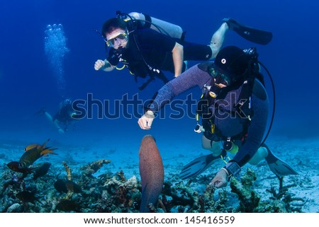 KHAO LAK, THAILAND - OCTOBER 29:: Dive guide and client feeding moray Eel in Similan Islands on October 29, 2010 . Similan Islands are Thailand\'s premier dive destination for foreign dive tourists.