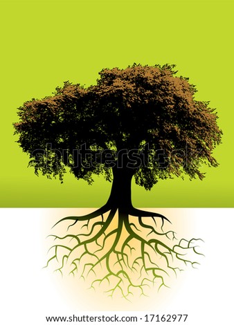 tree roots painting. stock photo : A large tree