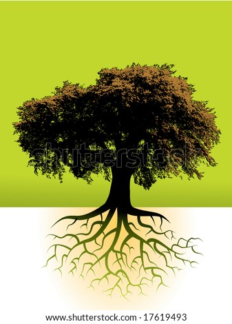 tree roots drawing. stock vector : A large tree