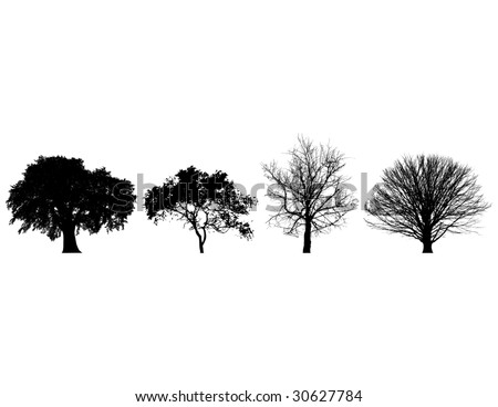 black and white pictures of trees. Four lack and white trees