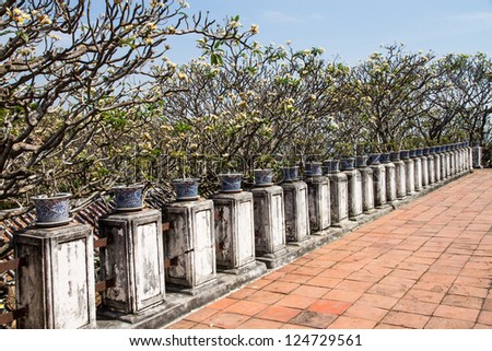 Old palace terrace with plant pot