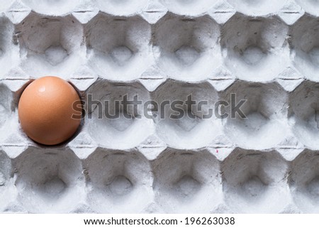 egg alone in paper tray