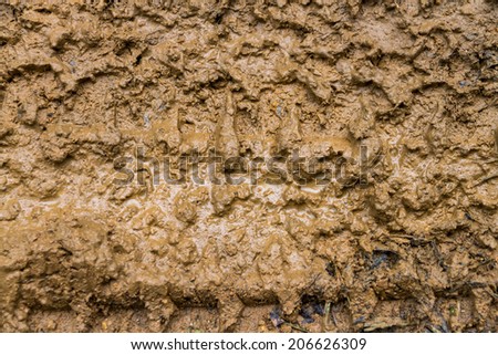 wet mud with car wheels texture