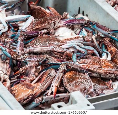 crabs on rural market
