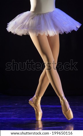 concert of the School of Ballet