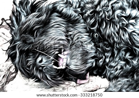 Playful spaniel puppy lying on its back  drawing filter