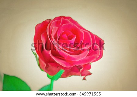 red rose flower drawing filter