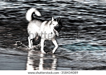 dog playing and splashing in water at the beach  drawing filter
