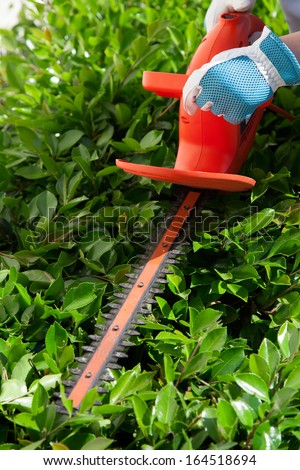 Woman trimming bushes in her backyard using an electrical hedge trimmer.
