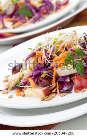 Closeup of red cabbage, carrot, and apple salad with sprouts, red grape, and roasted sunflower seeds served for healthy lunch