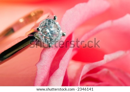 Romantic way to present a engagement ring with diamond inside beautiful rose on Valentine day.