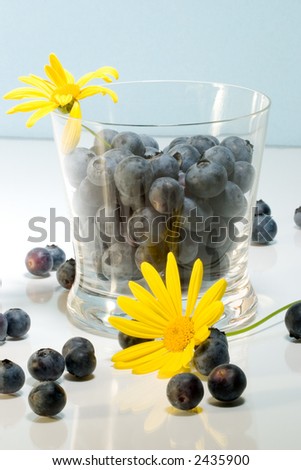 Blueberries inside clear glass on reflective surface and yellow flowers over aqua paper background