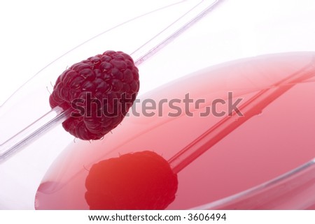 Closeup of glass of French Horn cocktail - raspberry liquor, vodka and lemon juice - garnished with whole raspberry