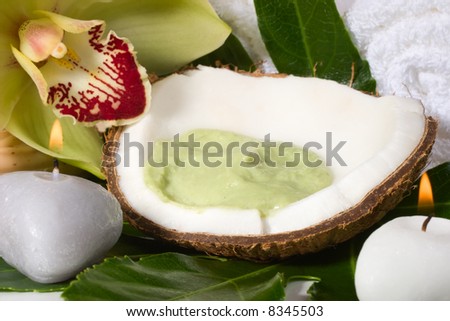 Avocado coconut scrub in coconut shell, orchid flower (Cymbidium sp.) and candles. Suited for relaxing and health commercials