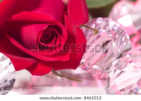 Romantic way to present a jewelry with beautiful rose on Valentine day.