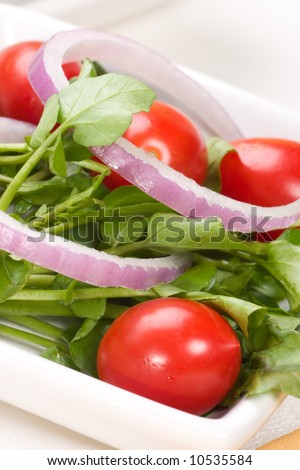 Watercress salad with cherry tomatoes, sweet red onions and olive oil dressing