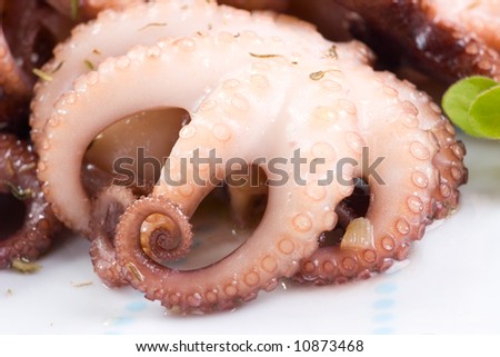Extreme closeup of delicious cooked octopus in red wine dish and salad
