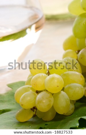 Glass of white wine, decanter and fresh cut green wine grape bunch.
