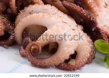 Closeup of delicious octopus cooked in red wine sauce, lemon slices and olives