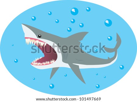 Of A Shark
