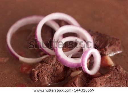 closeup of a wild boar goulash with onion from Czech Republic