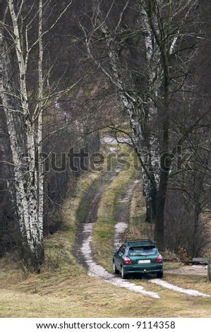 Car In Forest
