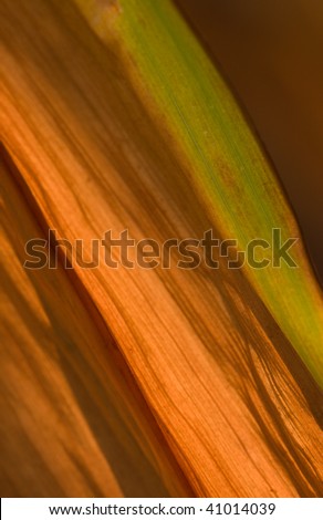 green abstract leaf pattern