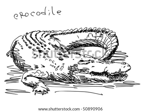 Sketch Crocodile