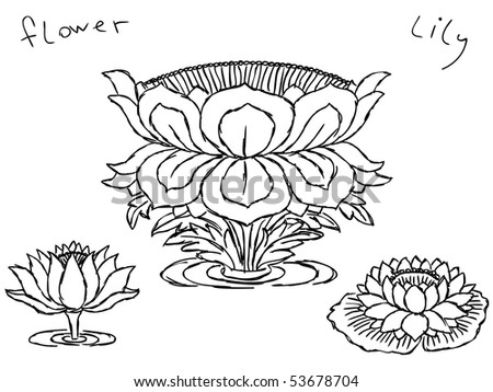 stock vector Hand drawn lotus flowers Vector