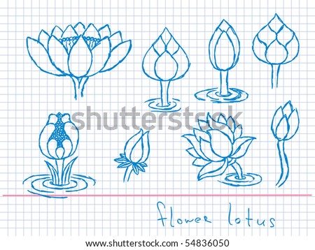 Hand drawn lotus flowers