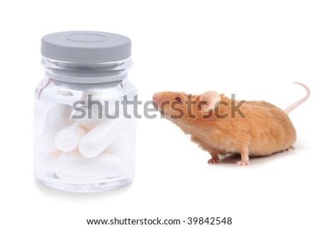 Mouse In Bottle