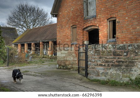 Traditional English farmyard with Border Collie sheepdog, Inkberrow, Worcestershire.