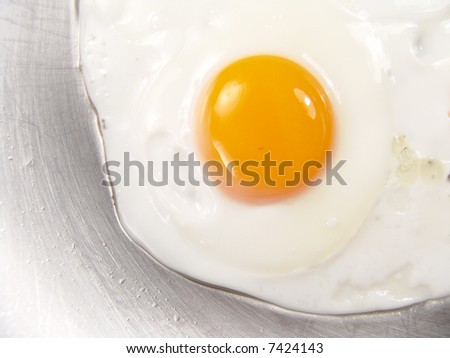 Fried Egg Sunny Side Up Macro Close-up