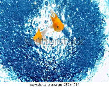 Eco-friendly Energy Source Environmental Protection Goldfish