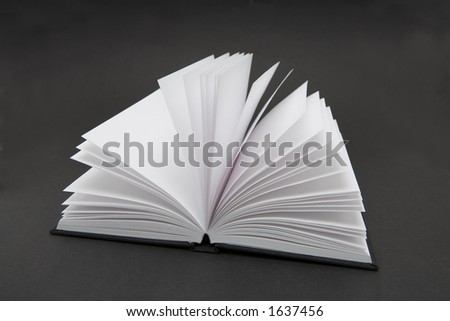 Small black book open with blank pages