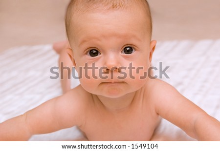 Young baby girl lifts head proudly as she begins to learn to crawl.