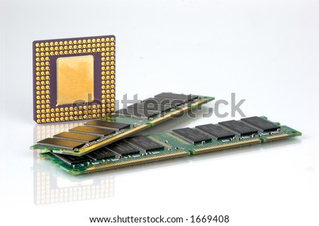 CPU processor and two sticks of high speed RAM. Horse power to run next generation software.