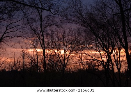 Purple and Orange colors fill the sky as the sun sets after a passing spring thunderstorm. Trees silhouette against this colorful backdrop.