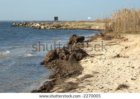 Rough, seaweed covered beaches common to New England area. This is a coastline on the Great South Bay of Long Island, NY.