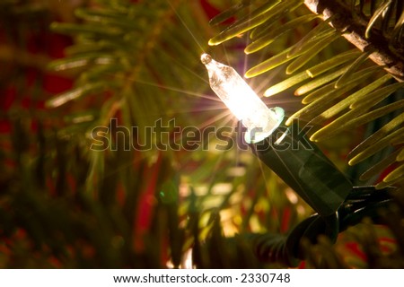 Close-up of tiny white light used to decorate many Christmas trees. Pine needles and red in the background add to the festive feel. Sparkling starburst pattern emits from the light filament.