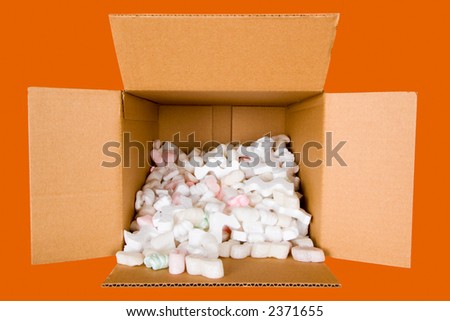 Cardboard Box with Styrofoam \