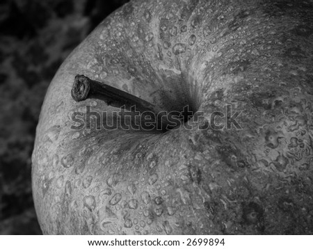 Amazine tone and shape from a simple apple captured in black and white. Water drops bead on the skin of the apple.