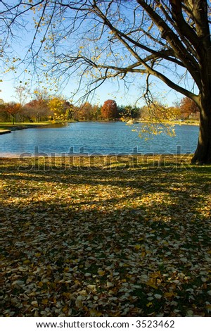 Scene of a man made body of water in a beautiful urban park in late Fall with most of the leaves fallen from the trees and laying on green grass.