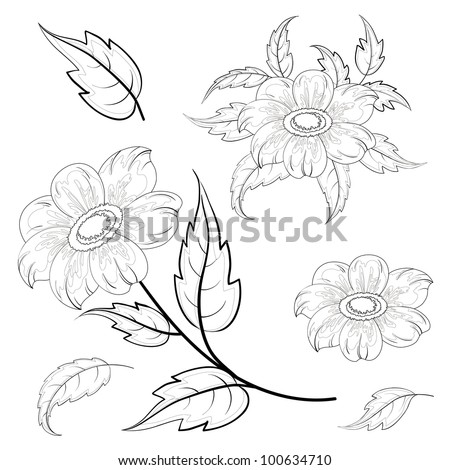 Flowers and leaves dahlia, black contours on white background. Vector