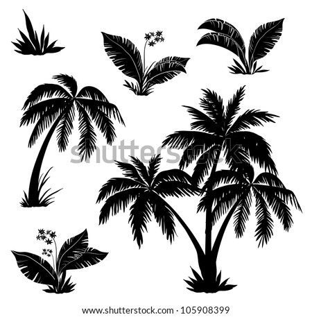 Palm Trees, Flowers And Grass, Black Silhouettes On White Background. Vector