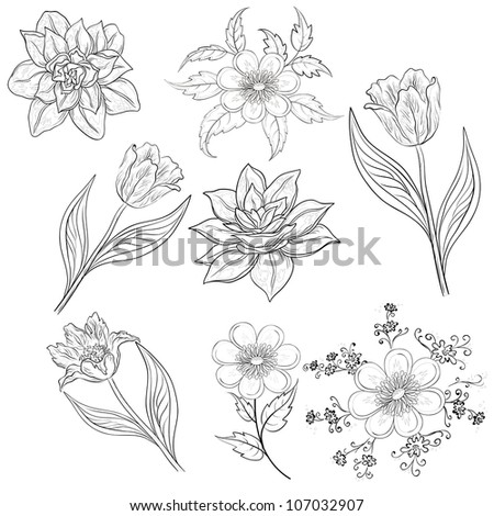Set of flowers: tulip, narcissus, symbolical. Black contour on white background. Vector illustration