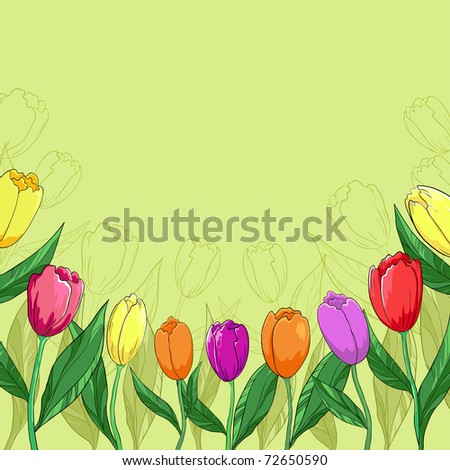 Flower vector background, tulips flowers and contour on a green