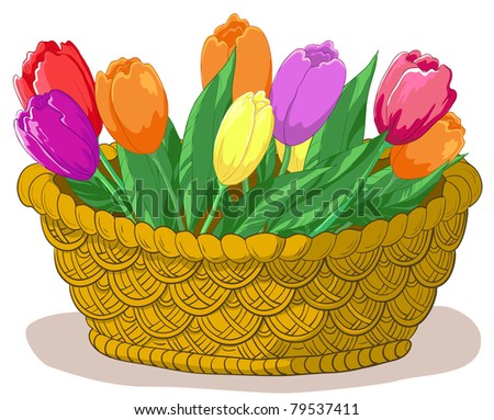 Vector, wattled basket with flowers tulips and green leaves